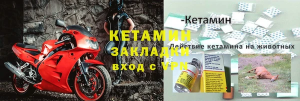 ПСИЛОЦИБИНОВЫЕ ГРИБЫ Дмитровск