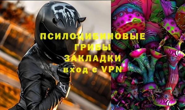 ПСИЛОЦИБИНОВЫЕ ГРИБЫ Дмитровск