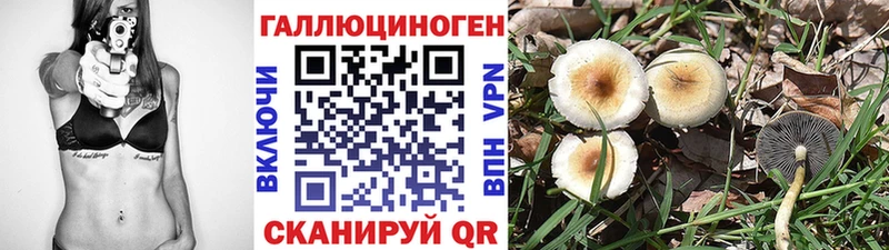 Купить  Колпашево  Псилоцибиновые грибы ЛСД 