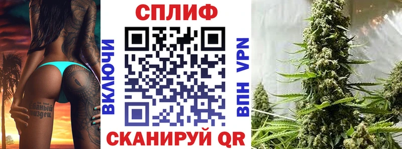 Бошки марихуана планчик  Купить  Колпашево 